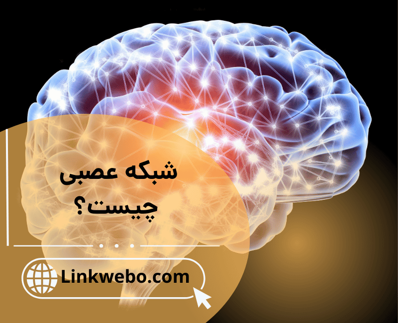 شبکه عصبی چیست؟